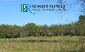 22 ha. en Villa Elisa - ER